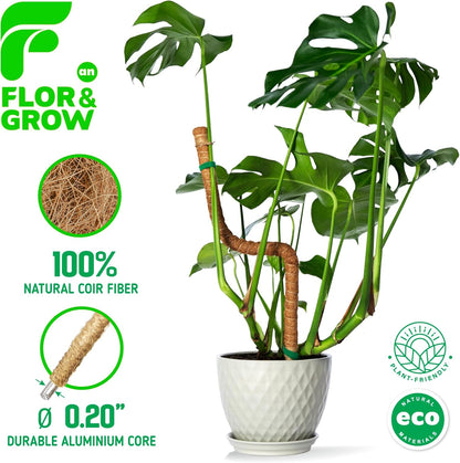 Monstera Plant Support Stakes - 28" Sturdy Moss Poles for Indoor Climbing Plants | 2 Pack