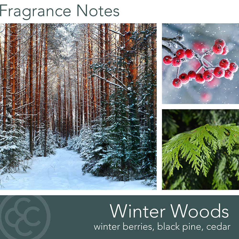 Colonial Candle Scented Jar Candle, Classic Cylinders, Winter Woods, 2 Wick, 19 oz, Green