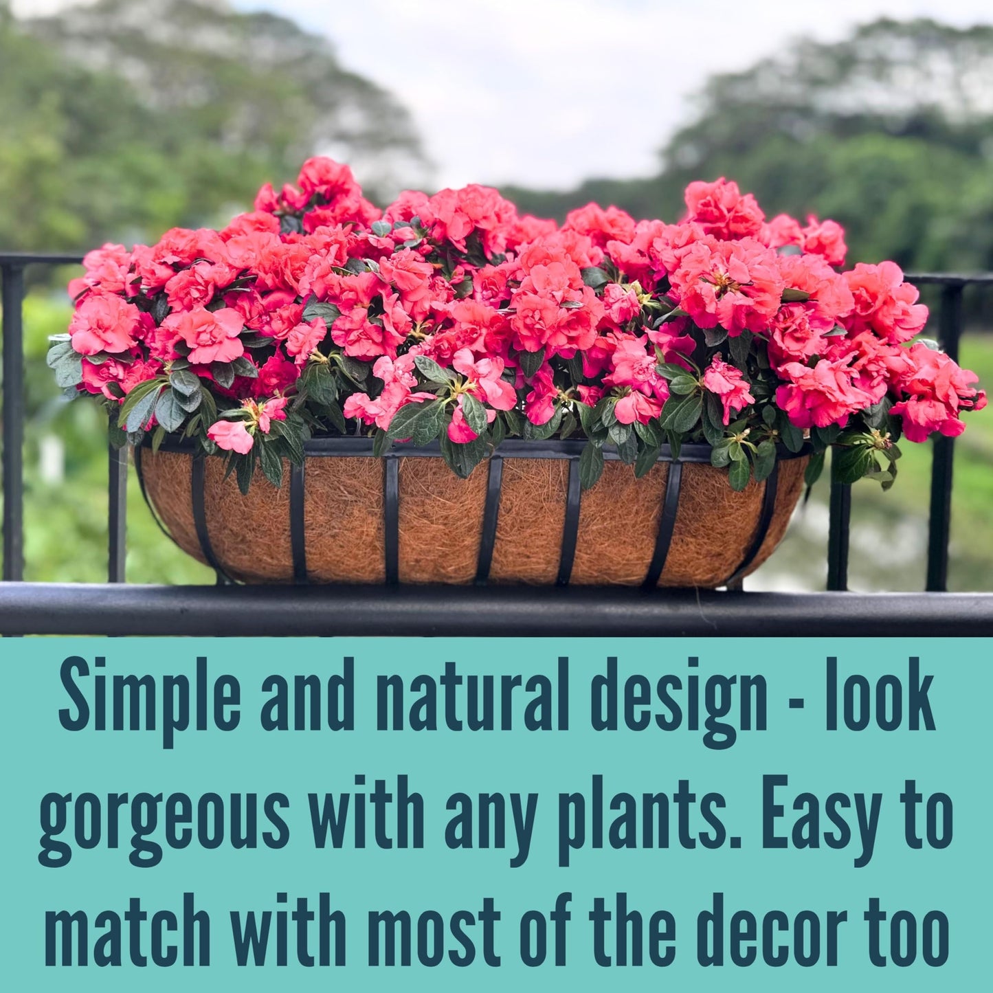 LaLaGreen Outdoor Wall Planter - 6 Pack, 30 Inch Large Metal Basket with Coco Liner, Long Window Flower Box Deck Railings Hanging Horse Trough Balcony Plant Pot Garden Fence Balcony Patio Rail