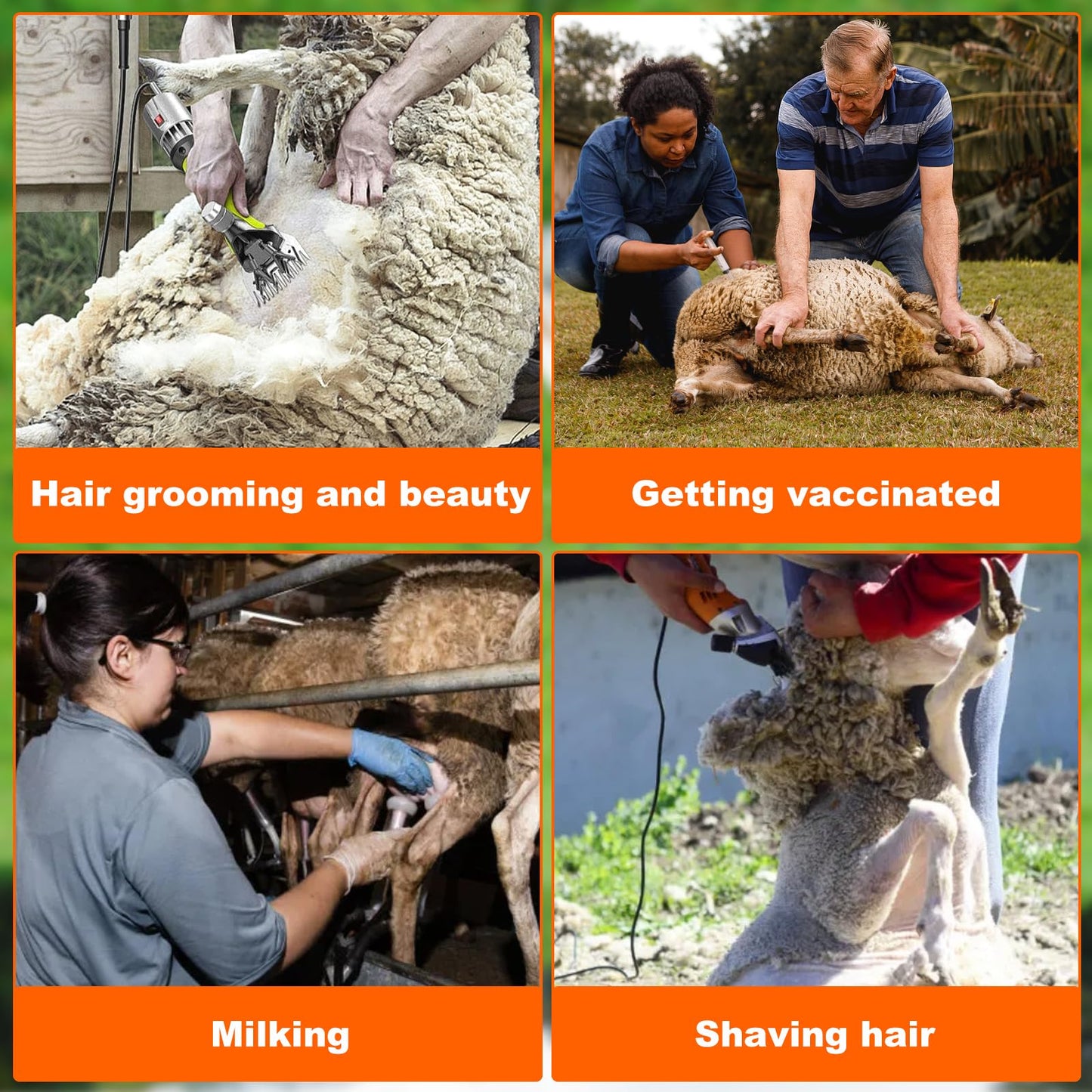 ZUIWAN Heavy Duty Sheep Trimming Stand with Ramp - Adjustable Livestock Grooming & Milking Stand for Goat, Sheep Shearing and Milking Frame