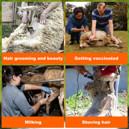 ZUIWAN Heavy Duty Sheep Trimming Stand with Ramp - Adjustable Livestock Grooming & Milking Stand for Goat, Sheep Shearing and Milking Frame