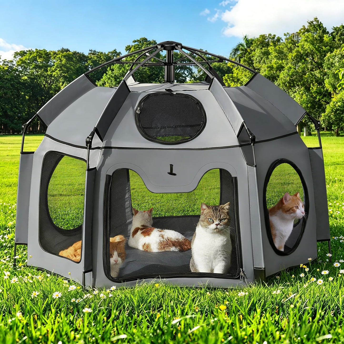 Catio Outdoor Cat Enclosure, Rywell 55” Extra Large Catio Pop Up Indoor Outdoor, Portable Cat Playpen Weatherproof with Removable Sunshade, Easy Setup Pet Enclosure for Cats Dogs