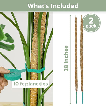 K-Brands 3 Pack Bendable Moss Pole - 48'' & 28'' Monstera Plant Support for Indoor Climbing Plants