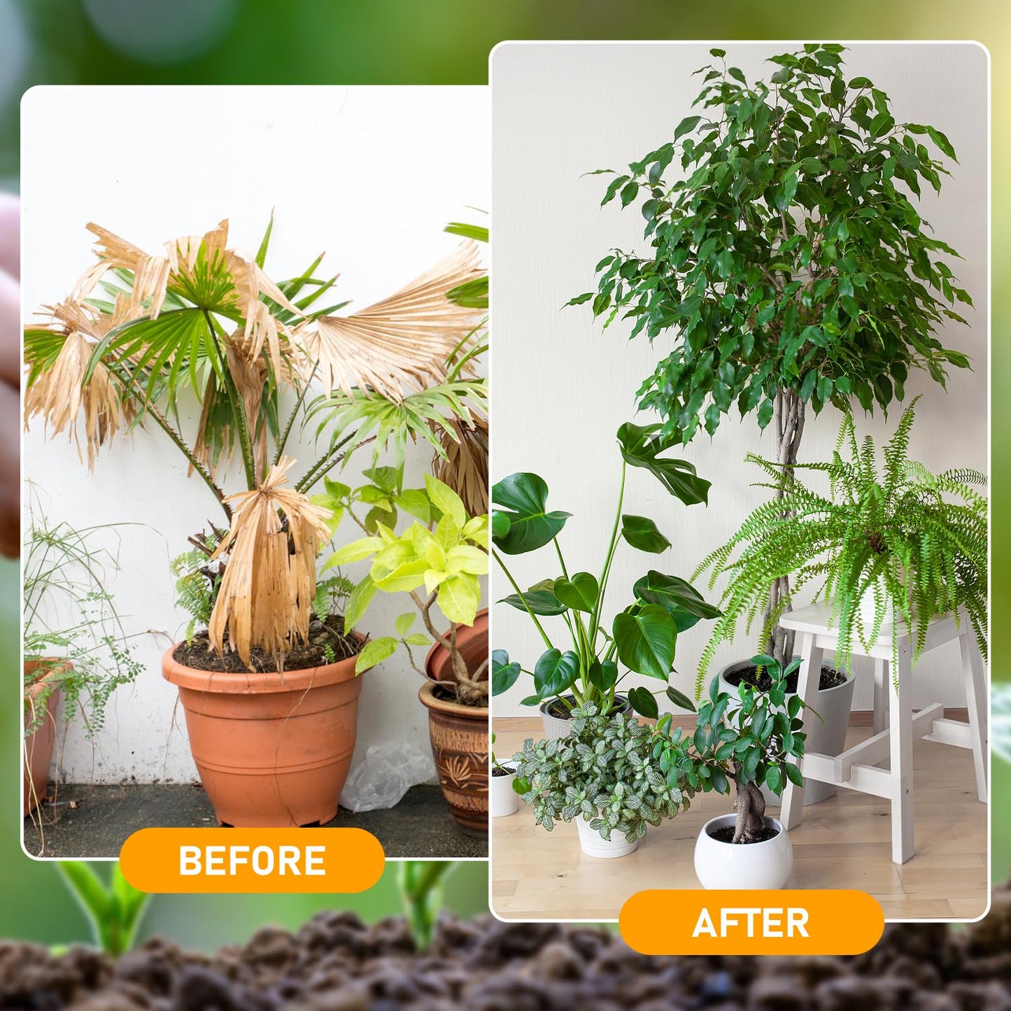 Skiennix Organic Soil Activators - Boost Plant Health & Root Growth | 120G (2 Pack)