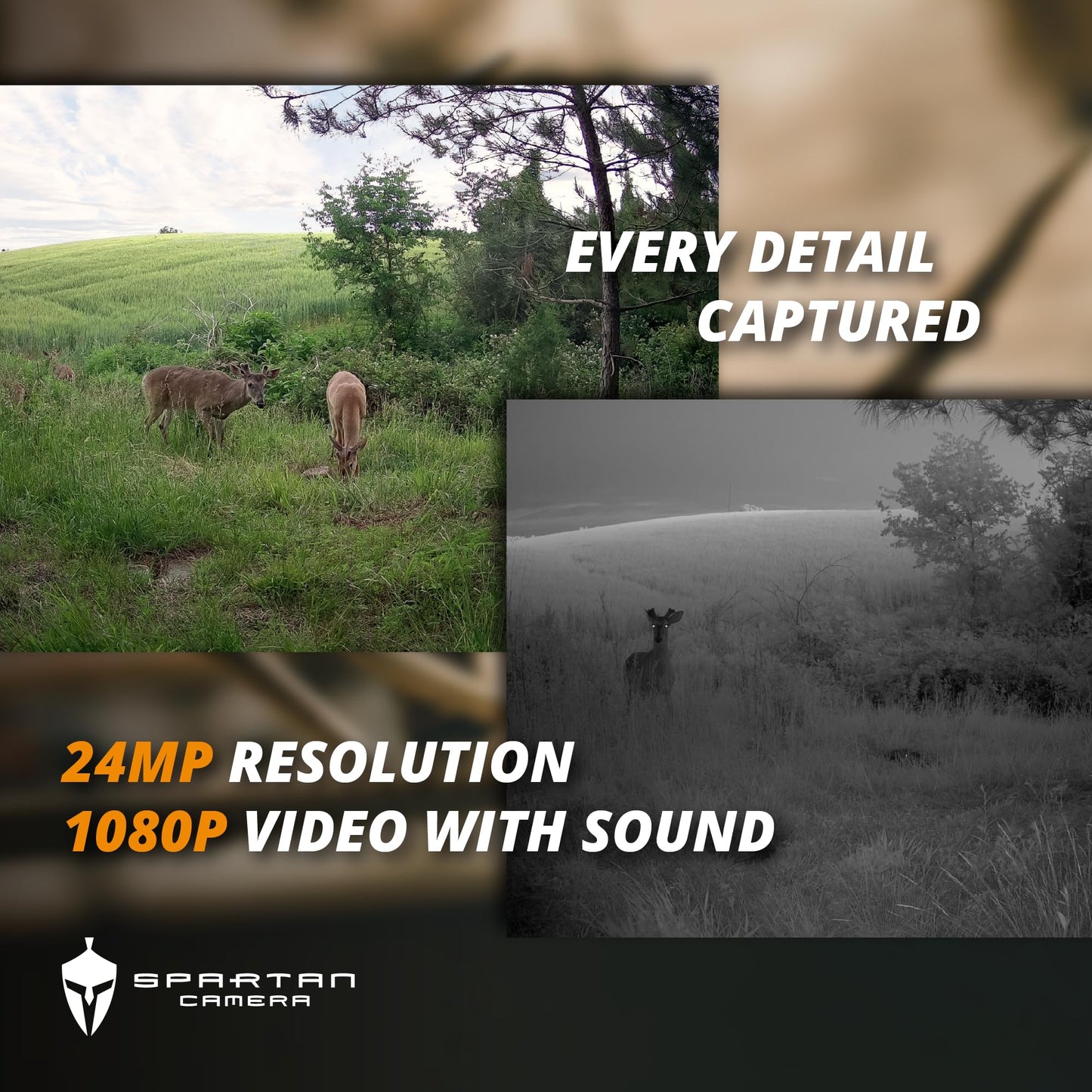 Spartan Camera Eclipse Non-Cellular Trail Camera, 24MP Photos, 1080P Video with Sound, No Glow Flash, 60ft Motion Detection, 78° Wide-Angle, Compact Size Easy to Carry, Rugged & Weather-Proof