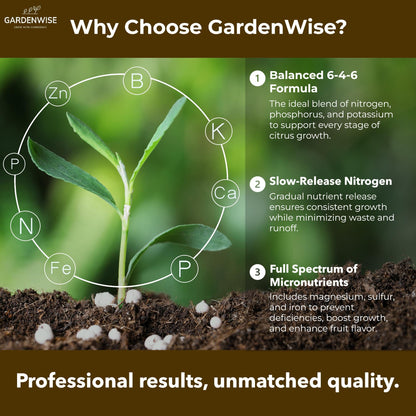 GARDENWISE Professional Citrus Fertilizer + Vital Micronutrients; Perfect Balanced NPK for All Citrus; for Indoor and Outdoor Plants; Orange, Lime, Avocado and Lemon Tree Fertilizer (1/2 Quart)
