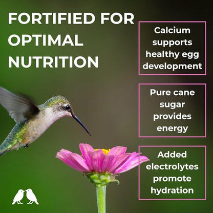 BIRDBROS Hummingbird Nectar Powder - All-Natural, Dye-Free Hummingbird Food | Easy Mix, 96 oz Made in USA