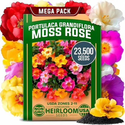 Home Grown Moss Rose Seeds - 23,500+ Heirloom Portulaca Seeds for Low-Maintenance Gardens | Bulk Pack for Ground Cover