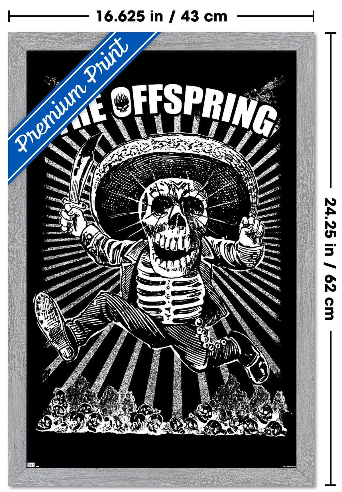 The Offspring - Jumping Skeleton Wall Poster, 22.4L" x 14.7W", Gray Framed Version