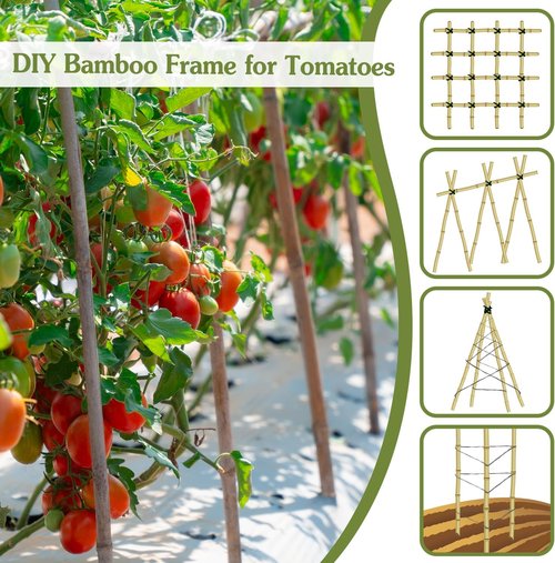HAINANSTRY 4FT Bamboo Plant Stakes - 25Pcs Sturdy Garden Support for Indoor/Outdoor Climbing Plants