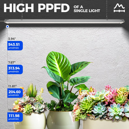 Barrina TX72 Grow Light for Indoor Plants, 72W, High PPFD, 5000K Daylight, 4FT, Aluminium and PC, Linkable, 1 Pack