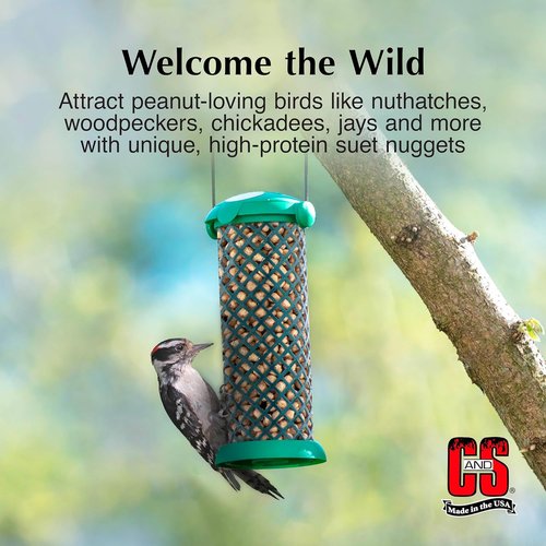 C&S Wild Bird Peanut Suet Nuggets - Mega Box, 8 Pounds for Healthy Wild Birds