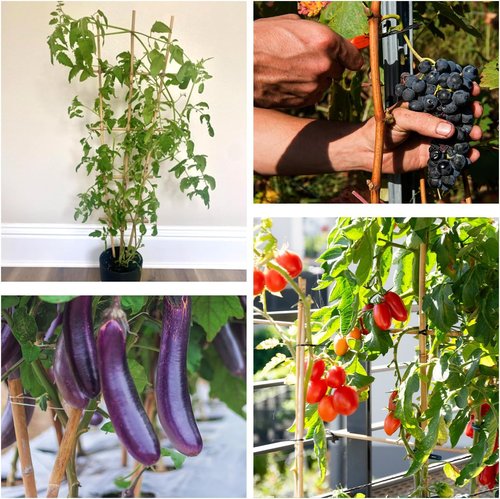 HAINANSTRY 4FT Bamboo Plant Stakes - 25Pcs Sturdy Garden Support for Indoor/Outdoor Climbing Plants