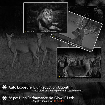 2 Pack Trail & Game Camera, 64MP 1296P Professional Outdoor Cam with 0.1s Trigger Night Vision Motion Activated, IP66 Waterproof 120° Wide Angle for Outdoor Wildlife Monitoring & Yard Security