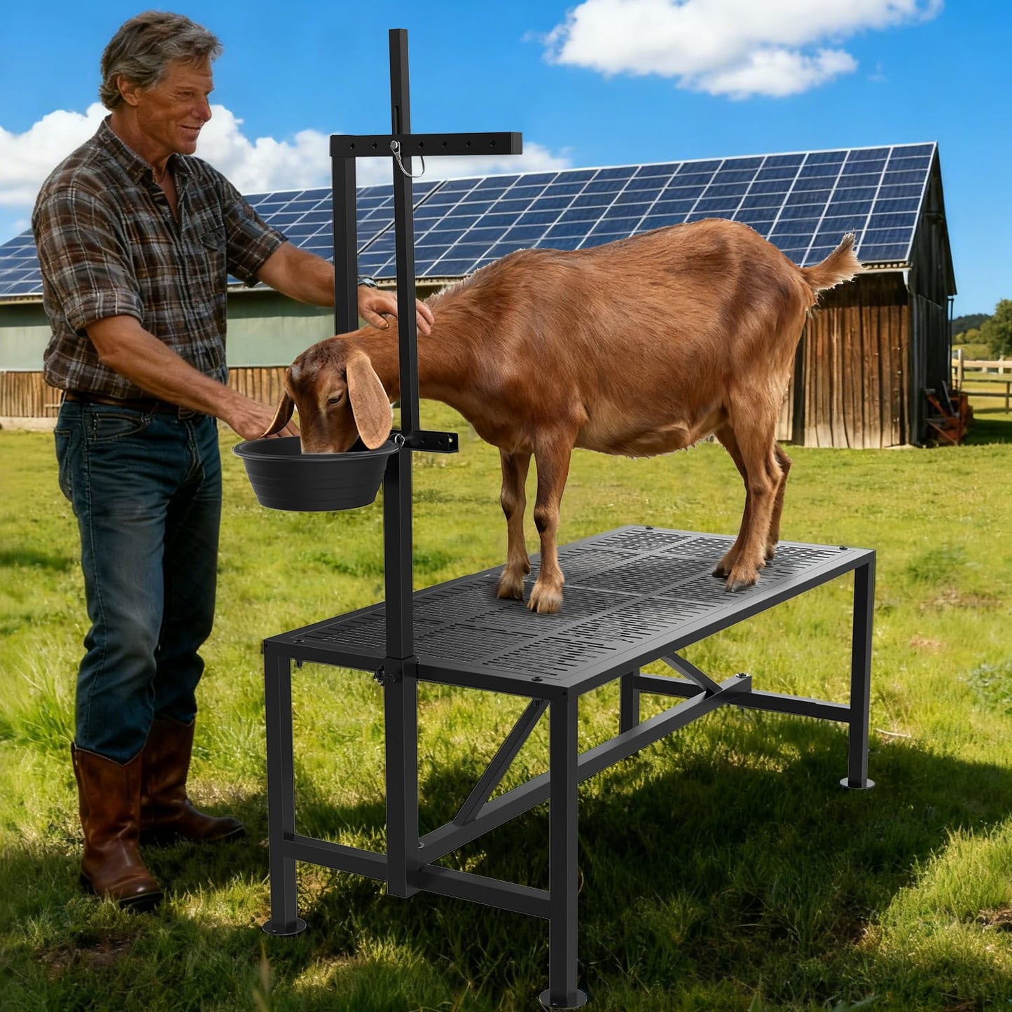 Wepepy Upgrade Goat Milk Stand with Feed Bin, 600lbs Goat Stand for Grooming & Hoof Trimming, 1mm Thick Platform & Anti-Slip Design, Goat Grooming Stand with Firm Head Lock and Adjustable Head