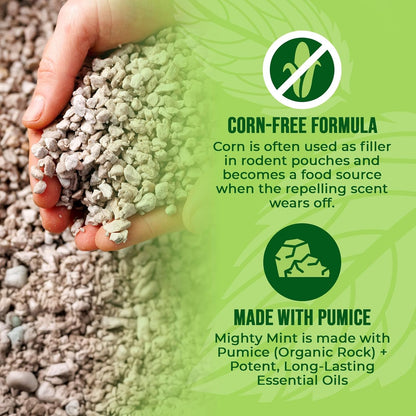 Mighty Mint Mouse Repellent Pouches - Natural Peppermint & Cinnamon Formula - 12 Count Plant-Based Indoor Deterrent