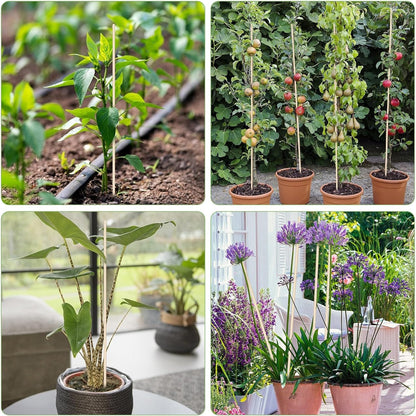 Bamboo Plant Stakes - 18 Inch Wooden Support for Potted Plants | 46 PCS with Wires for Gardening