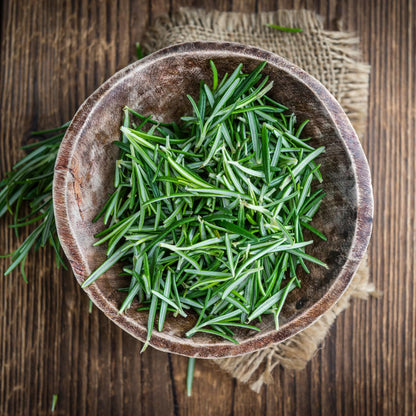 Live Rosemary Plants in 4'' Pot, Fragrant Upright Rosemary Starter 4-8 Inches, Hardy Outdoor Plant for Garden, Patio and Containers