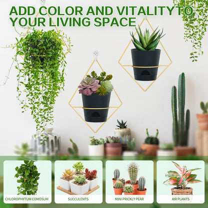 Koalaime 3 Sets Wall Planters for Indoor Plants Geometric Hanging Planters for Indoor Plants - Self-Watering Flower Pots with Black Metal Holder, Mounted Succulent Planter, 5" Black Plant Pot