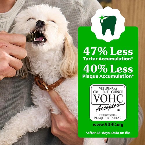 Greenies | Veterinarian-Recommended Natural Dental Dog Treats - Teenie Size, Original Flavor, 36 oz Pack