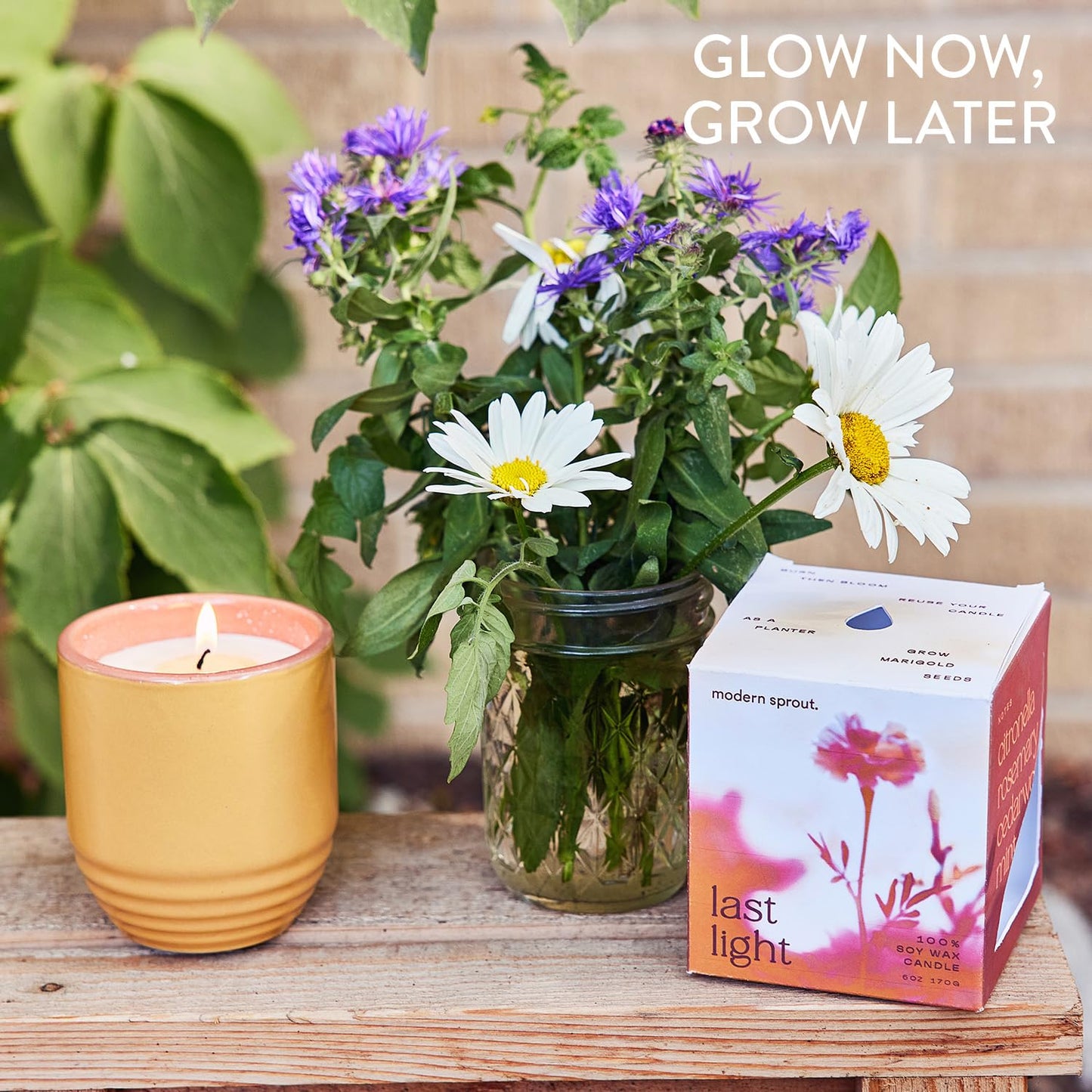 Modern Sprout - 2-in-1 Soy Candle & Planter - Last Light (Bug-Repelling Citronella, Rosemary, Cedarwood, Mint) 6 Oz Scented Candle with Marigold Seeds - Dual Purpose Jar - 38-40 Hour Burn
