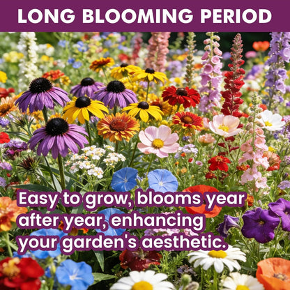 Wildflower Seeds | 10,000+ Bulk Butterfly & Hummingbird Mix | 21 Variety Heirloom Flower Seeds