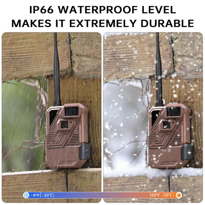 Zleo Cellular Trail Camera with Lifetime Data Free - Low Glow Night Vision Motion Activated, IP66 Waterproof, Live Streaming, 32GB Memory Card & Solar Panel Included