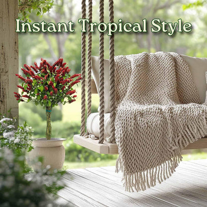 Braided Shrimp Tree - Red Flowers - Overall Height 36" to 42" - Tropical Plants of Florida (Plant Only)