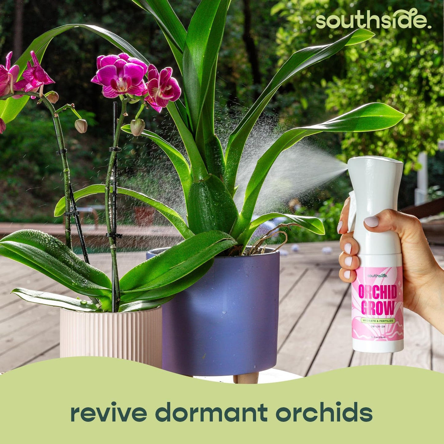 Southside Orchid Grow Fertilizer - 7.1 Oz Gentle Formula for Reviving Dormant Orchids | Easy Continuous Spray