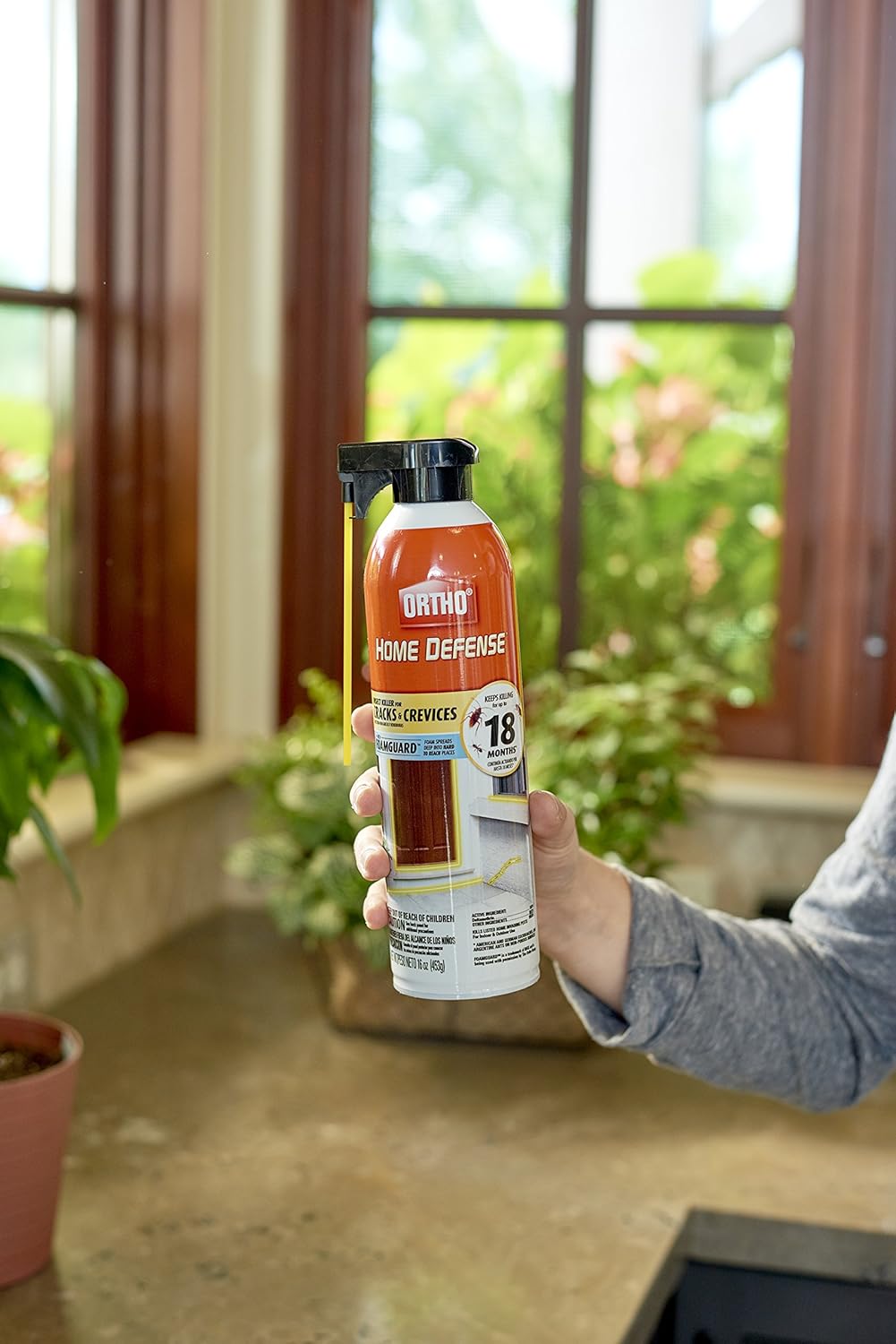 Ortho Home Defense Insect Killer - Long-Lasting Bug Spray Foam for Ants, Roaches & Fleas | 16 oz.