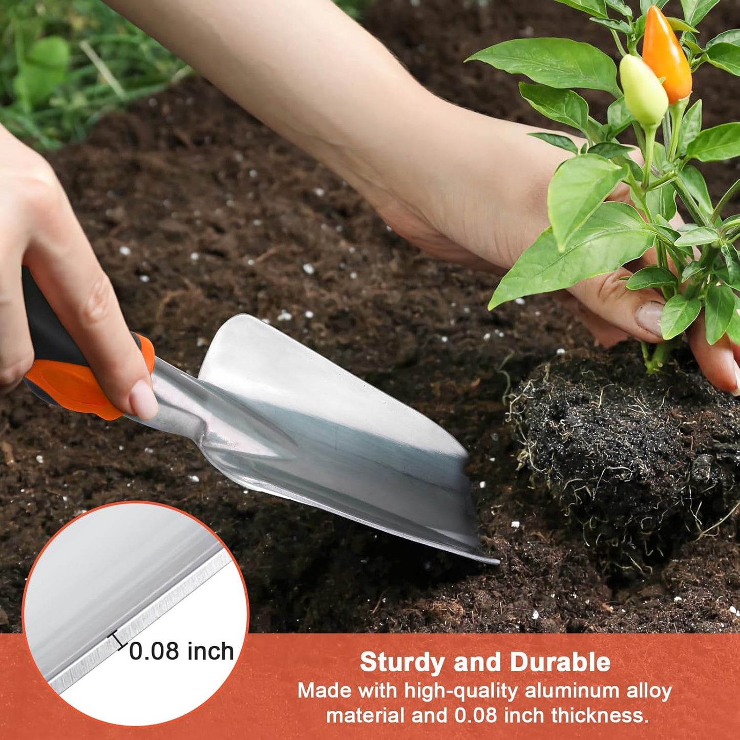 Regine Switzerland Garden Hand Trowel - Heavy Duty Ergonomic Shovel for Easy Digging | Rust Resistant, Orange