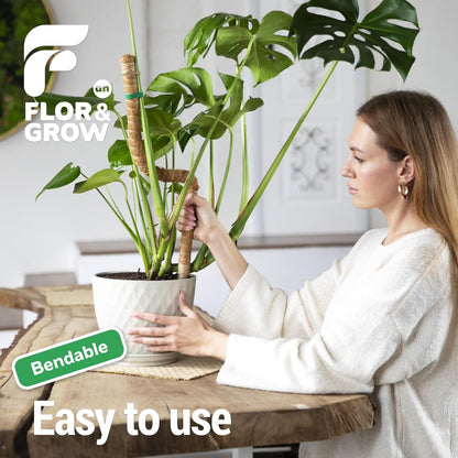 Monstera Plant Support Stakes - 28" Sturdy Moss Poles for Indoor Climbing Plants | 2 Pack