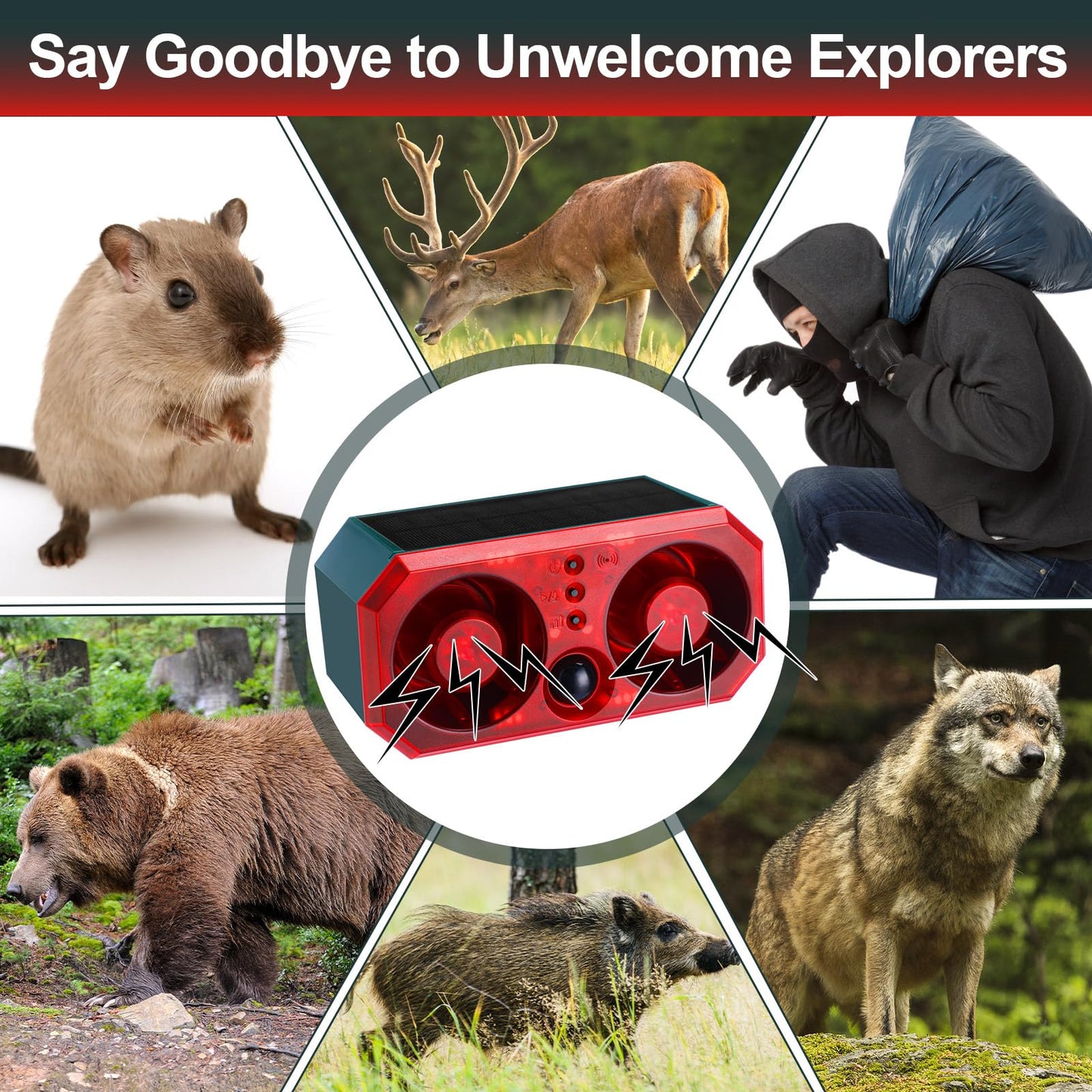 Qualirey 6 Pcs Solar Outdoor Motion Sensor Alarm Motion Sensor Animal Deterrent Dog Barking Alarm 13 Sound 130db Loud Noise Maker 4 Mode with USB Remote Control Support Recording Volume Adjustment
