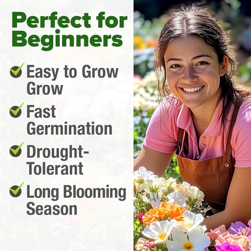 Home Grown Moss Rose Seeds - 23,500+ Heirloom Portulaca Seeds for Low-Maintenance Gardens | Bulk Pack for Ground Cover