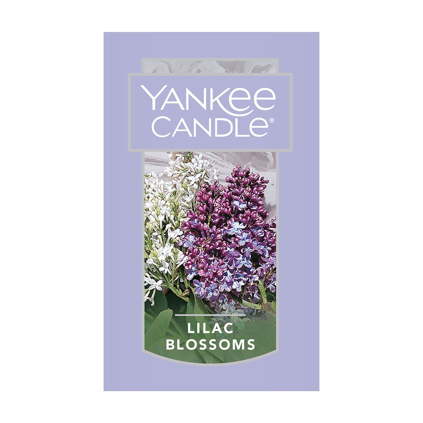 Yankee Candle Lilac Blossoms Scented, Classic 7oz Small Tumbler Single Wick Candle, Over 35 Hours of Burn Time
