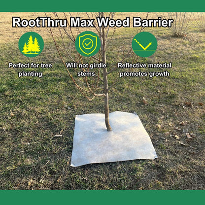 RootThru Max Weed Barrier, 34 in x100 ft, Natural, Eco-Friendly, Heavy-Duty, Durable, Landscape Fabric, Garden Ground Cover, Paper Mulch, Gardening Weed Mat, Geotextile Fabric, Weed Blocker