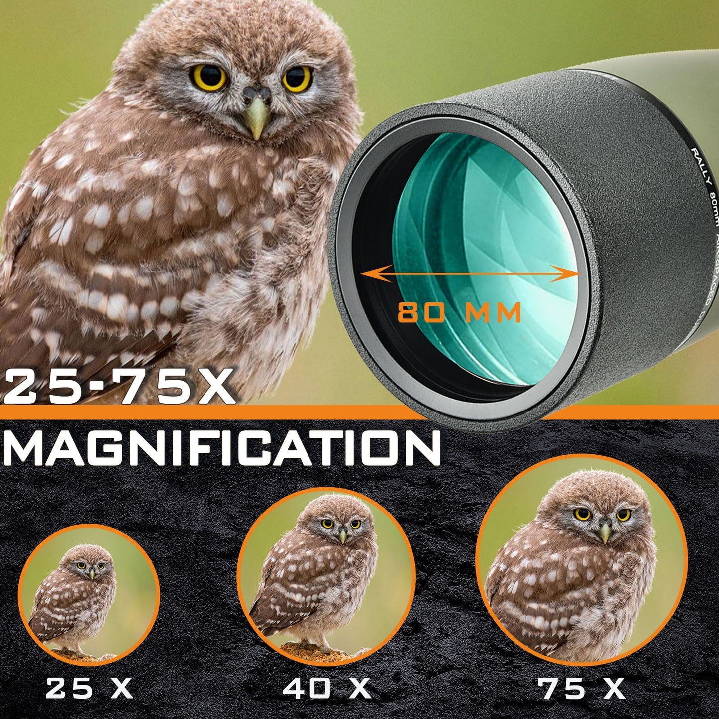 GOOCHIN 25-75X80 Spotting Scopes, HD Spotter Scope for Target Shooting, BAK4 Prism with Tripod, Smartphone Adapter, Waterproof Spotting Scope for Bird Watching Hunting Wildlife Viewing