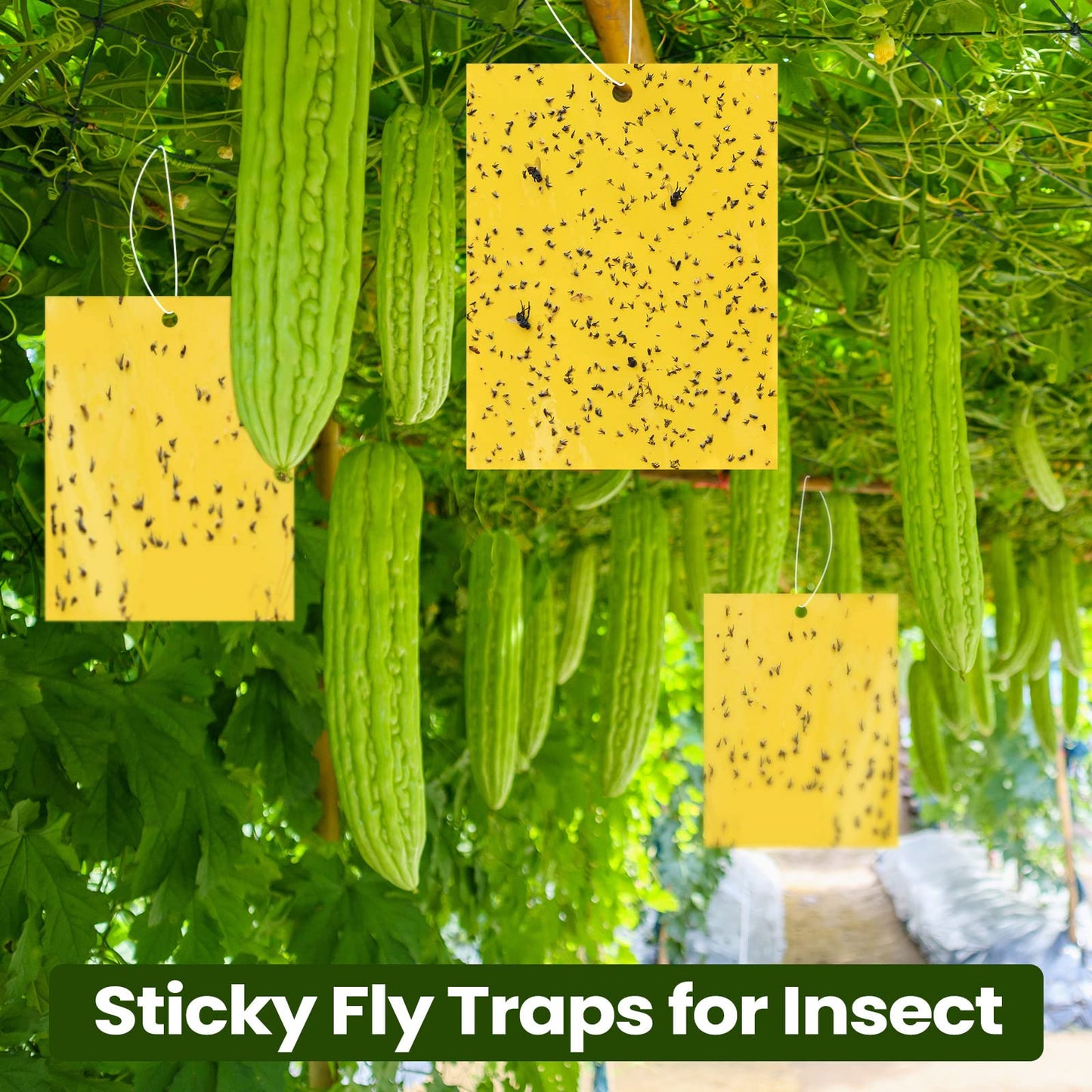Qualirey 900 Pcs 6x8 Inch Yellow Sticky Traps for Gnats, Dual-Sided Sticky Gnat Traps for Indoor Outdoor, Fly Catcher for Fungus Gnats, Fruit Flies, Whiteflies– Bulk Pack with Twist Ties