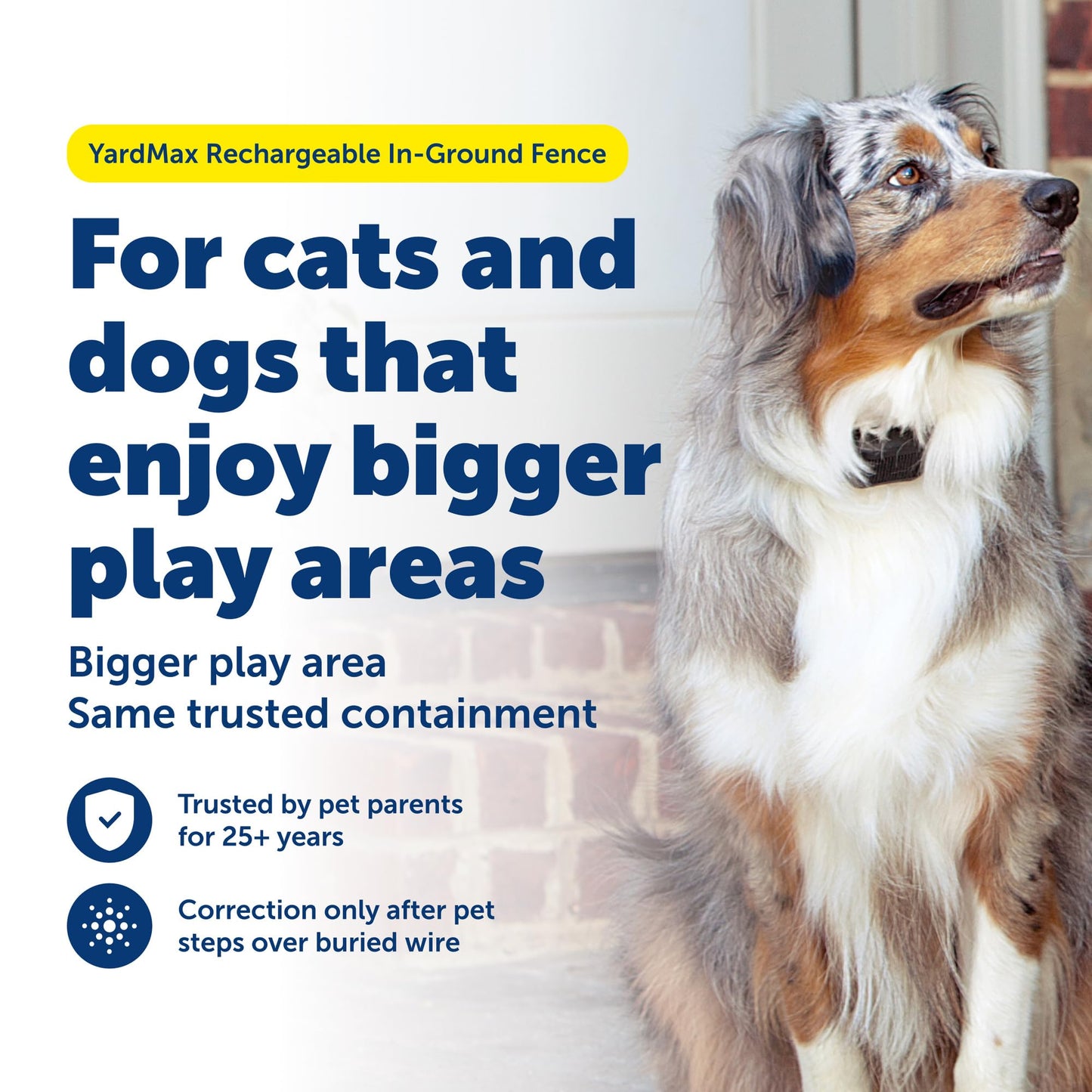 PetSafe YardMax Rechargeable In-Ground Fence for Dogs and Cats from The Parent Company of Invisible Fence Brand Boundary Wire Not Included Pick Your Wire Gauge Separately