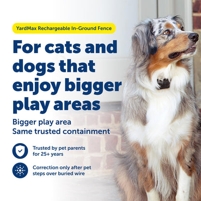 PetSafe YardMax Rechargeable In-Ground Fence for Dogs and Cats from The Parent Company of Invisible Fence Brand Boundary Wire Not Included Pick Your Wire Gauge Separately