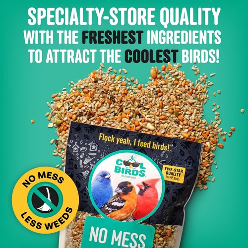 Cool Birds Wild Bird Seed - 100% Edible Shell-Free Blend with Real Fruit & Nuts | 10 lb No Mess