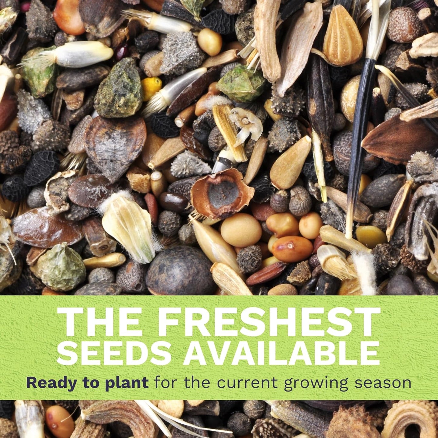 Pacific Northwest Wildflower Seed Mix - 24,000 Premium Flower Seeds in Large 1 Ounce Packet