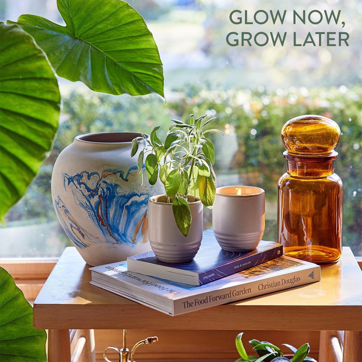 Modern Sprout - 2-in-1 Soy Candle & Planter - Golden Moments (Cali Lemon, Amber, Moss) 6 Oz Scented Candle with Sage Seeds - Dual Purpose Jar - 38-40 Hour Burn – Perfect Plant Lovers Gift