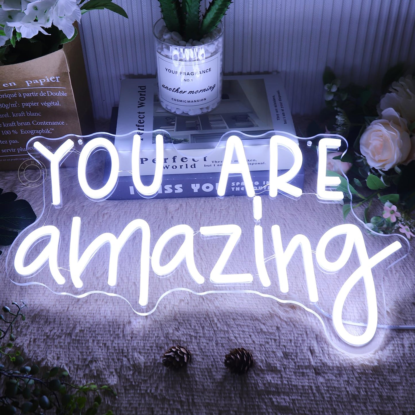SYLHOME You Are Amazing LED Neon Light Sign 5V Girls Boys Bedroom Living Room Classroom Wall Decor Sign Hanging Smart Kid Birthday USB 16.9" X 10.6" Warm White