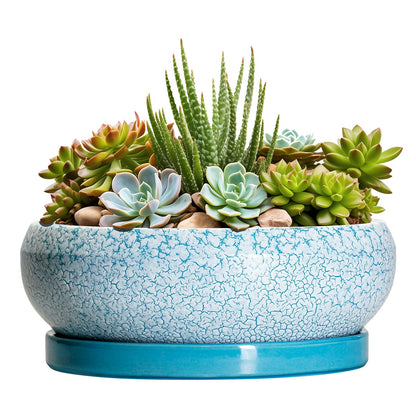 EPFamily Succulent Pots 8 Inch - Ceramic Bonsai Pots with Drainage Hole and Saucer, Succulent Planters for Indoor Plants Outdoor, Round Shallow Planter Bowl, Porch Decor, Gardening Gifts, Blue