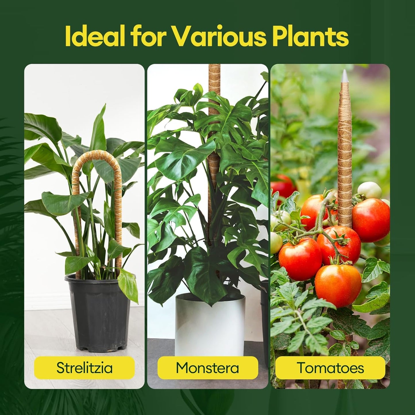 Maygrove 3-Pack 48” Bendable Moss Poles - Ideal Support for Climbing Monstera & Indoor Plants