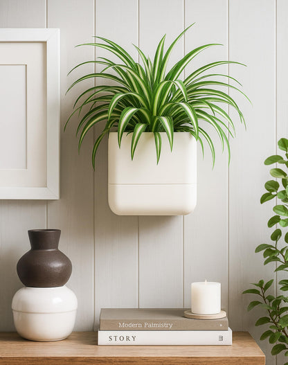 Phoenix Vine 6.5 Inch Wall Mounted Self-Watering Planter Pots for Indoor Houseplants and Herbs | Hanging Planter for Window Sills, Bathroom Walls, Home & Office Décor, Oatmeal, Set of 3, 01-C-G-3