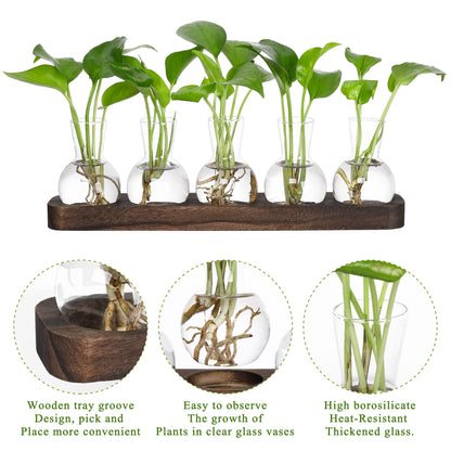 YIBOT Plant Propagation Stations,Glass Propagation Vases for Plants Terrarium with Wooden Tray Plant Lover Gifts for Propagating Hydroponic Plants Home Office Decor(5 Vase)