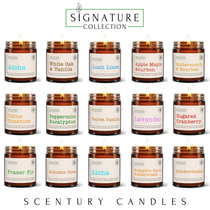 Autumn Glow Fall Scented Candle, Many Scents to Choose from, All Natural Non-Toxic Soy Wax, Handmade in The USA (Autumn Glow)