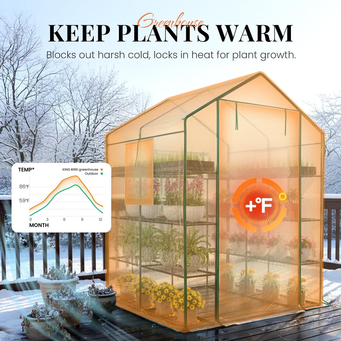 KING BIRD Premium Greenhouse for Outdoors, 56x56x77 in Walk-in Hot House with Thickened Cover, Reinforced Frame, Screen Windows & Mesh Door, 4 Tiers 12 Shelves for Outside Garden Seedlings, Clear